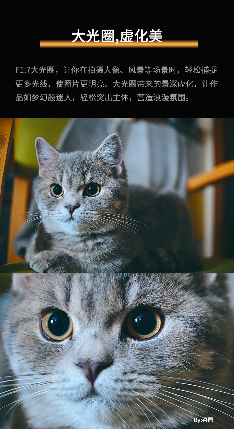 详情1_05.jpg